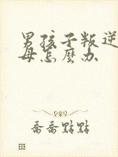 男孩子叛逆打父母怎么办封面