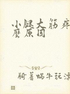 小腿大筋疼是什么原因