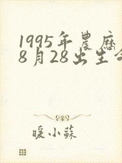 1995年农历8月28出生命运怎么样