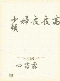 少妇夜夜高潮视频
