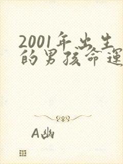 2001年出生的男孩命运如何