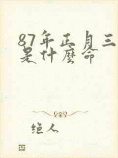 87年正月三十是什么命封面