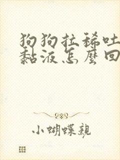 狗狗拉稀吐白沫黏液怎么回事