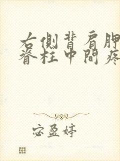 右侧背肩胛骨与脊柱中间疼痛