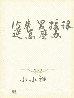 15岁男孩很叛逆怎么办封面