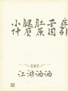 小腿肚子疼痛是什么原因引起的