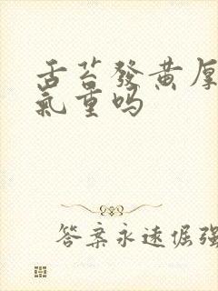 舌苔发黄厚是湿气重吗