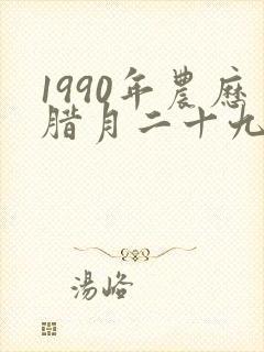 1990年农历腊月二十九女生的命运