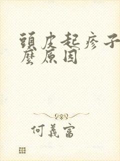 头皮起疹子是什么原因