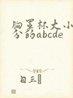 胸罩杯大小怎么分的abcde