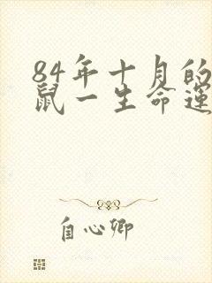 84年十月的女鼠一生命运