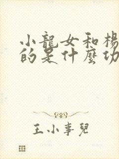 小龙女和杨过练的是什么功夫封面