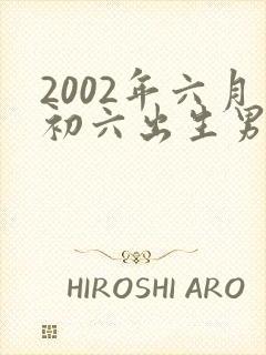 2002年六月初六出生男孩命运