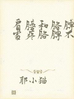 肩膀和胳膊连接处疼胳膊不敢抬