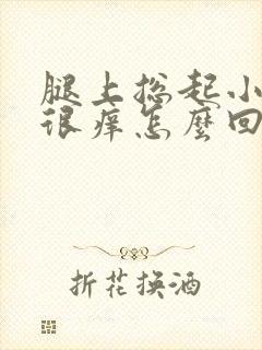 腿上总起小疙瘩很痒怎么回事