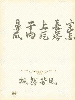 鼻子上长完痘痘成肉疙瘩怎么回事