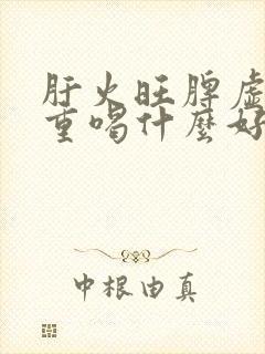 肝火旺脾虚湿气重喝什么好