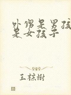 外甥是男孩子还是女孩子