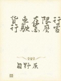 货车在限行区域行驶怎么处罚