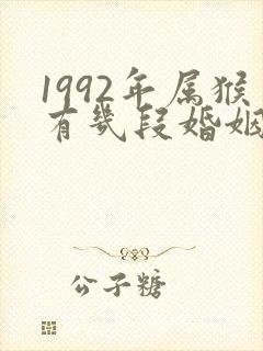 1992年属猴有几段婚姻
