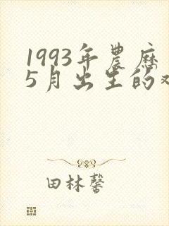 1993年农历5月出生的鸡命运怎样