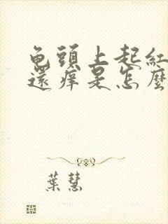 龟头上起红点点还痒是怎么回事