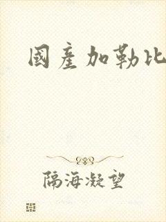 国产加勒比在线