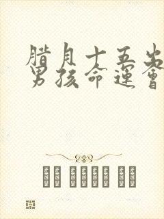 腊月十五出生的男孩命运会怎样封面