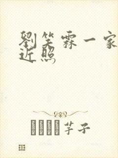 刘笑霖一家三口近照