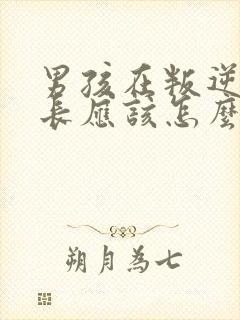 男孩在叛逆期家长应该怎么办