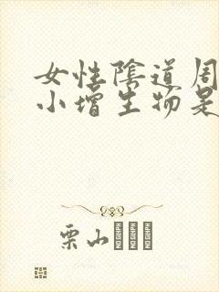 女性阴道周围长小增生物是怎么回事