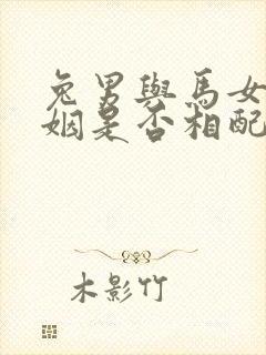 兔男与马女的婚姻是否相配