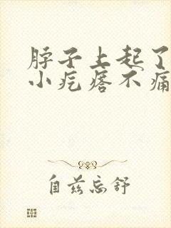 脖子上起了一些小疙瘩不痛不痒