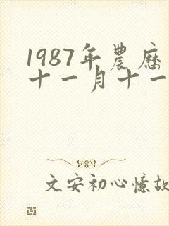 1987年农历十一月十一日是什么命