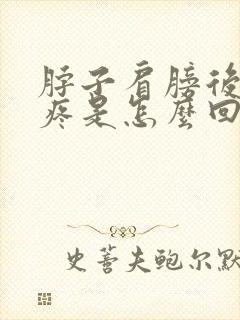 脖子肩膀后背都疼是怎么回事