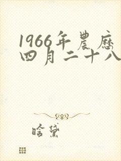 1966年农历四月二十八命运