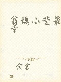 翁熄小莹最新节章封面
