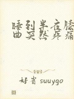 睡到半夜膝盖弯曲突然疼痛封面