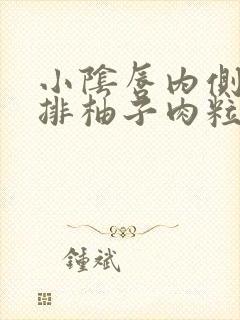 小阴唇内侧长一排柚子肉粒