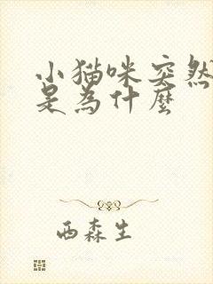 小猫咪突然乱尿是为什么封面