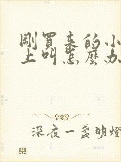 刚买来的小狗晚上叫怎么办