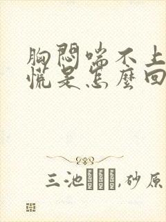 胸闷喘不上气心慌是怎么回事