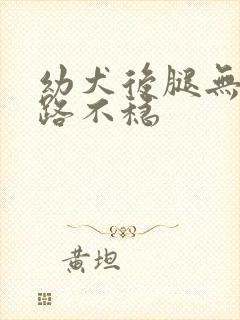 幼犬后腿无力走路不稳封面