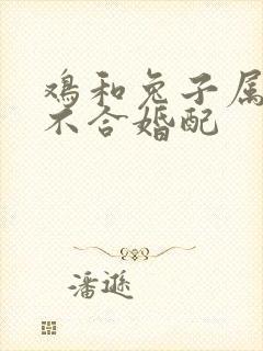 鸡和兔子属相合不合婚配