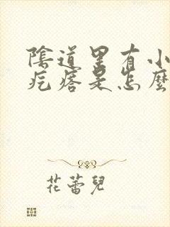 阴道里有小米粒疙瘩是怎么回事封面