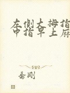 左侧大拇指食指中指早上麻封面