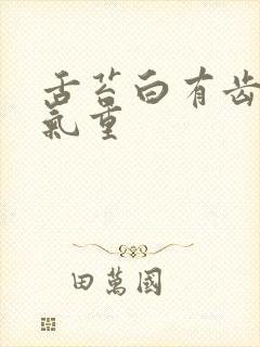 舌苔白有齿痕湿气重封面