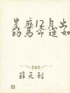 农历12月出生的马命运如何