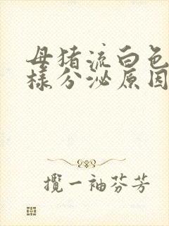 母猪流白色石灰样分泌原因