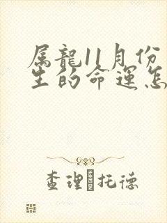 属龙11月份出生的命运怎么样